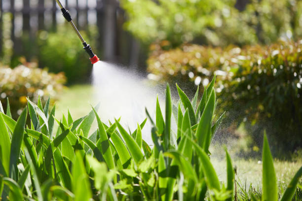 Tamper-Resistant Bait Stations for Rodents in Perry