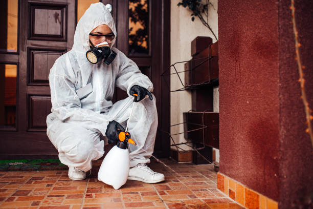 Attic and Crawl Space Rodent Treatment in Perry