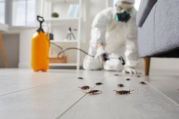Commercial Rodent Management in Perry